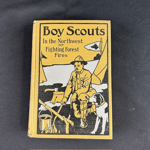 Antique copy of Boy Scouts In the Northwest or Fighting Forest Fires