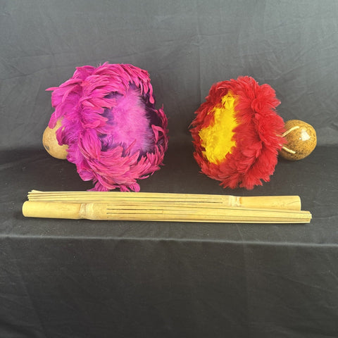 Hawaiian Instrument Collection