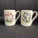 Set of 2 VTG Portmeirion Botanic Garden Mugs