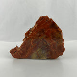 Large Polished Petrified Wood Slab