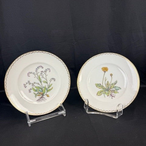 VTG Bing & Grondhal Botanical Plates