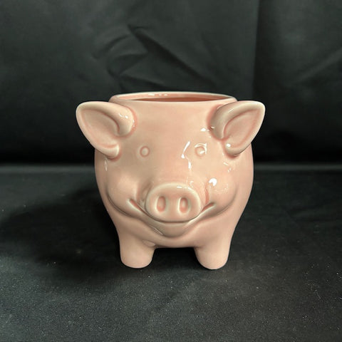 Piggy Shaped Mug